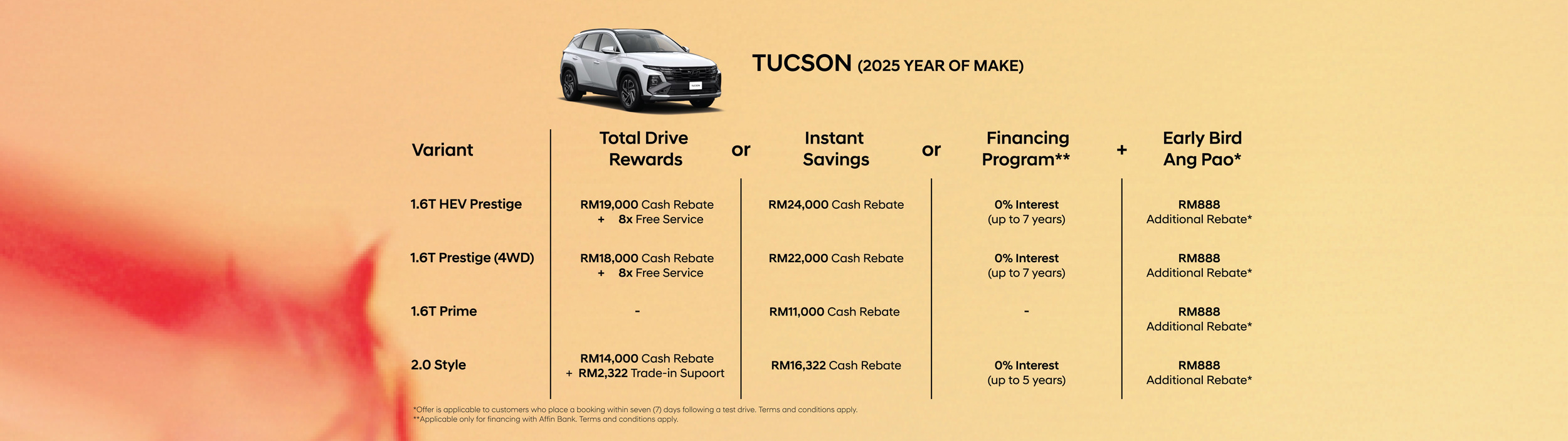 Chinese New Year Promotion