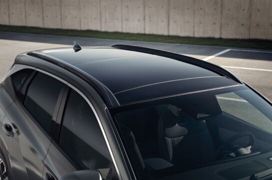 Tucson DLO chrome molding